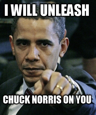 i-will-unleash-chuck-norris-on-you