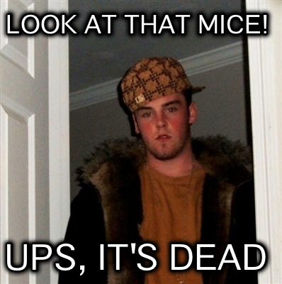 look-at-that-mice-ups-its-dead