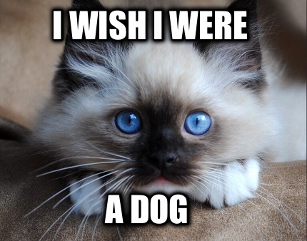 i-wish-i-were-a-dog