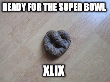 ready-for-the-super-bowl-xlix