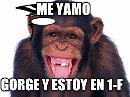 me-yamo-gorge-y-estoy-en-1-f