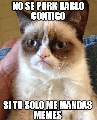 no-se-pork-hablo-contigo-si-tu-solo-me-mandas-memes3