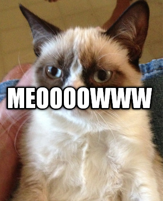 meoooowww