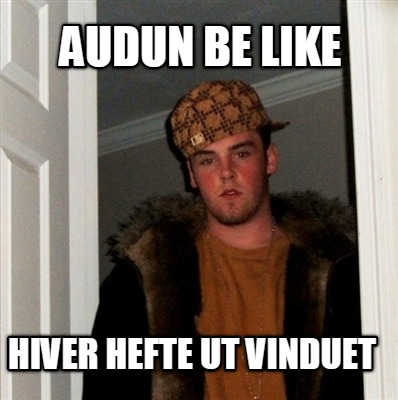 audun-be-like-hiver-hefte-ut-vinduet