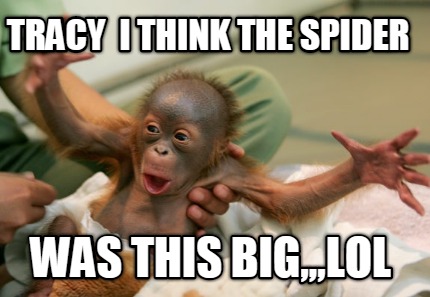 tracy-i-think-the-spider-was-this-biglol