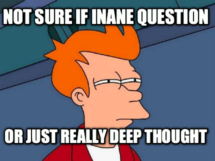 not-sure-if-inane-question-or-just-really-deep-thought