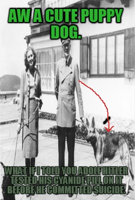 aw-a-cute-puppy-dog.-what-if-i-told-you-adolf-hitler-tested-his-cyanide-pill-on-