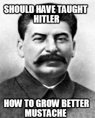 should-have-taught-hitler-how-to-grow-better-mustache