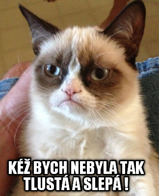 k-bych-nebyla-tak-tlust-a-slep-