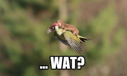 ...-wat