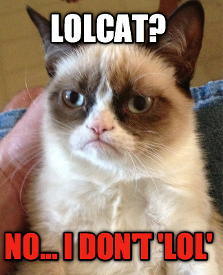 lolcat-no...-i-dont-lol