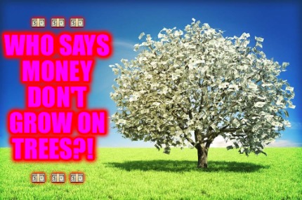 -who-says-money-dont-grow-on-trees-