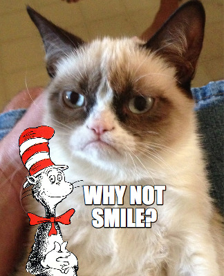 why-not-smile