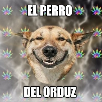 el-perro-del-orduz