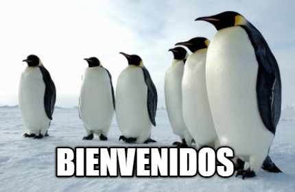 bienvenidos