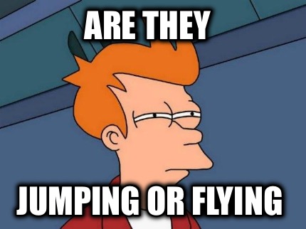 are-they-jumping-or-flying