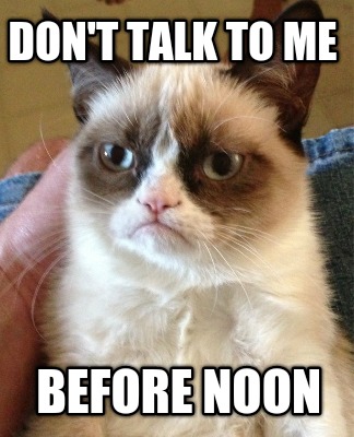 dont-talk-to-me-before-noon