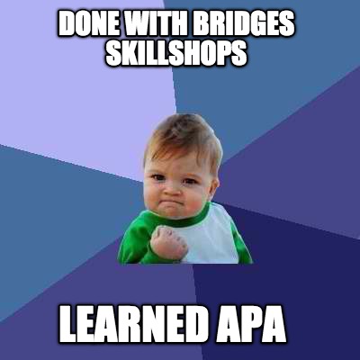 done-with-bridges-skillshops-learned-apa