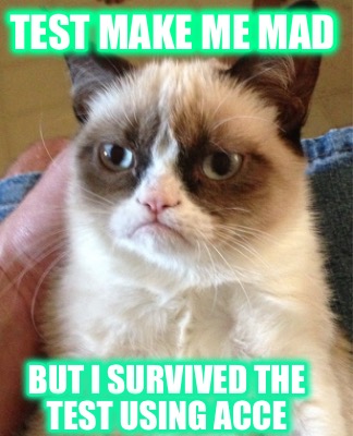 test-make-me-mad-but-i-survived-the-test-using-acce