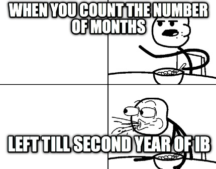 when-you-count-the-number-of-months-left-till-second-year-of-ib