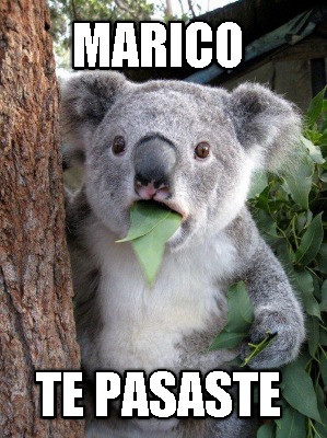 marico-te-pasaste
