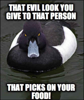 that-evil-look-you-give-to-that-person-that-picks-on-your-food