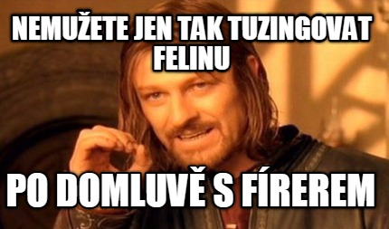 nemuete-jen-tak-tuzingovat-felinu-po-domluv-s-frerem