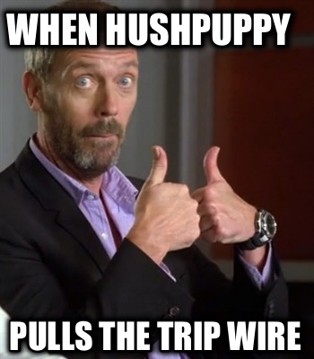 when-hushpuppy-pulls-the-trip-wire