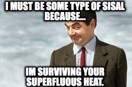 i-must-be-some-type-of-sisal-because...-im-surviving-your-superfluous-heat