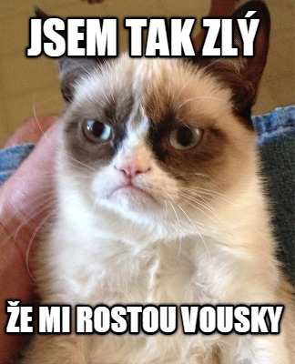jsem-tak-zl-e-mi-rostou-vousky