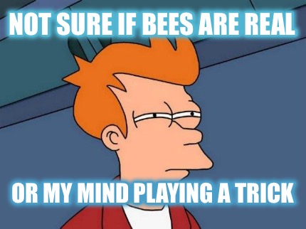 not-sure-if-bees-are-real-or-my-mind-playing-a-trick