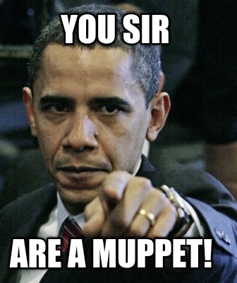 you-sir-are-a-muppet