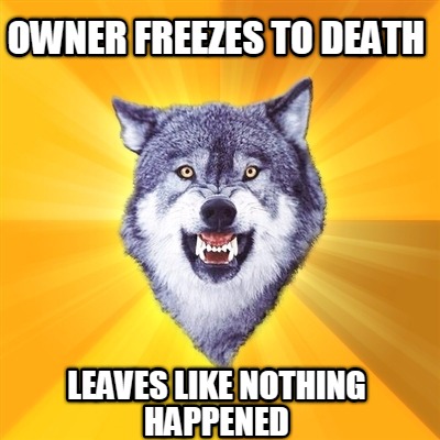 owner-freezes-to-death-leaves-like-nothing-happened