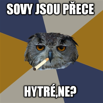 sovy-jsou-pece-hytrne