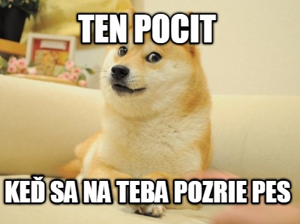 ten-pocit-ke-sa-na-teba-pozrie-pes