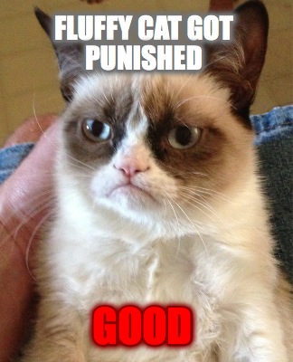 fluffy-cat-got-punished-good