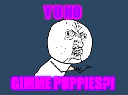 y-u-no-gimme-puppies