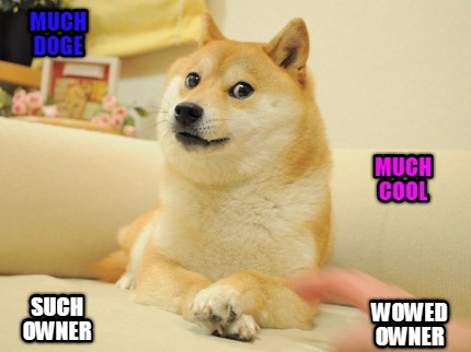 much-doge-such-owner-much-cool-wowed-owner