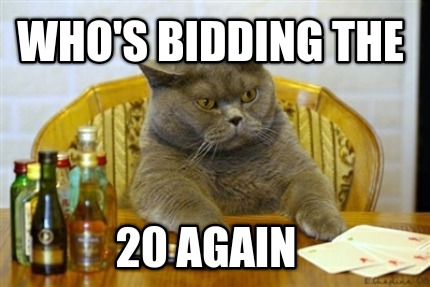 whos-bidding-the-20-again