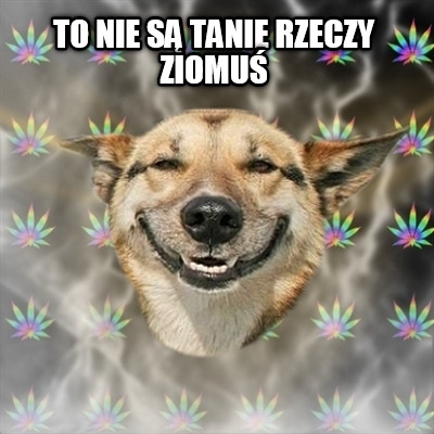 to-nie-s-tanie-rzeczy-ziomu