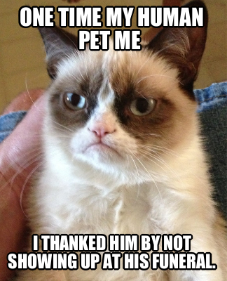 one-time-my-human-pet-me-i-thanked-him-by-not-showing-up-at-his-funeral