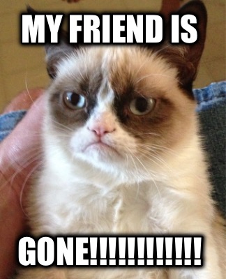 my-friend-is-gone