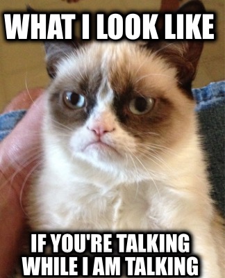 what-i-look-like-if-youre-talking-while-i-am-talking