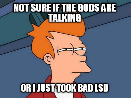not-sure-if-the-gods-are-talking-or-i-just-took-bad-lsd