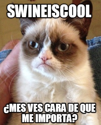 swineiscool-mes-ves-cara-de-que-me-importa