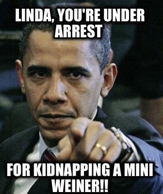 linda-youre-under-arrest-for-kidnapping-a-mini-weiner