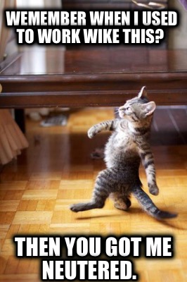 wemember-when-i-used-to-work-wike-this-then-you-got-me-neutered
