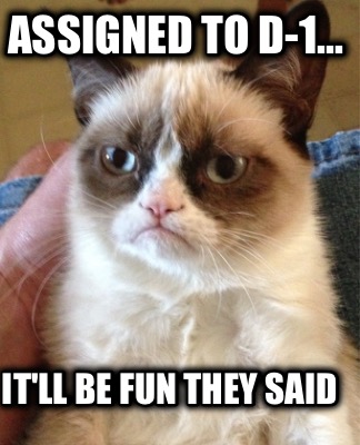 assigned-to-d-1...-itll-be-fun-they-said