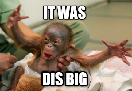 it-was-dis-big