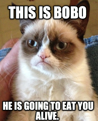 this-is-bobo-he-is-going-to-eat-you-alive